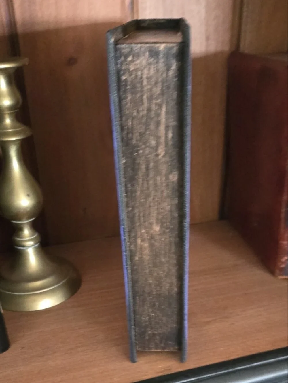 Purplish Poison Fake Book